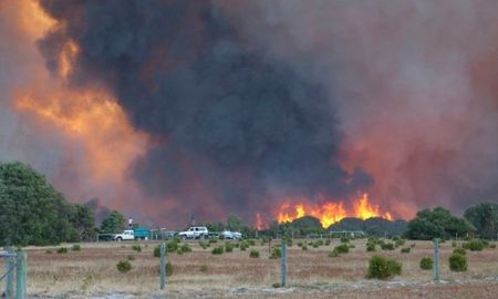 Sorry Oz, but I plan to use your tragedy for comedy